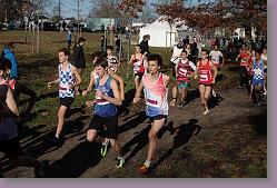 Begles 15.12.13 01 552 * 679 x 453 * (163KB)